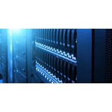 WD - Gold - Harde Schijf - Goud - 16 TB - SATA