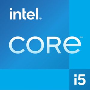 Intel Core i5 13400 Tray - Processor - 2.5 GHz (4.6 GHz) - 10 core 6P+4E - 16 threads - 20 MB cache - LGA1700 Socket - zonder koeler - tray