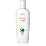 Cannaderm - Capillus Seborea - Shampoo - Kruiden - 150 ml