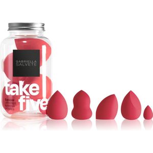 Gabriella Salvete - Take Five Rose - Applicatoren Set voor het Gezicht - 5 st - Cosmetica