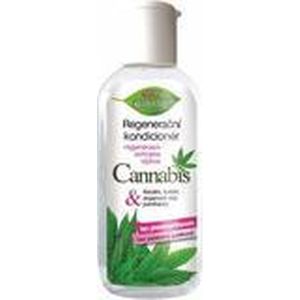Bione Cosmetics - Cannabis Conditioner - 80 ml - Voor Vrouwen