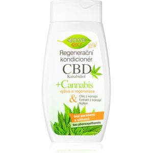 Bione Cosmetics - Cannabis CBD Conditioner - 260 ml - Voor Vrouwen