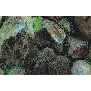 Marty Behang dubbelzijdig behang planten rots design behang dubbelzijdig behang 1112 49 cm 1112