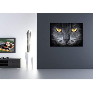 AG Design FTM 0500 kattenogen, papier fotobehang - 160 x 115 cm - 1 deel, papier, multicolor, 0,1 x 160 x 115 cm