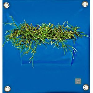 Plantenzak Bloomingwalls The Green Pockets - PEVA1 - Blauw