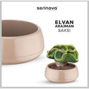 Sierpotten - Mokka - L Elvan Arrangement Pot - Set van 2 lage taupe bloempotten met drainagesysteem