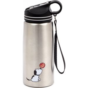 Biggdesign Honden geïsoleerde waterfles - Drinkfles - RVS - zilver