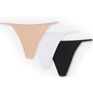 Dagi - 3 Pack Basic Cotton Thong - Multi Colour - Strings