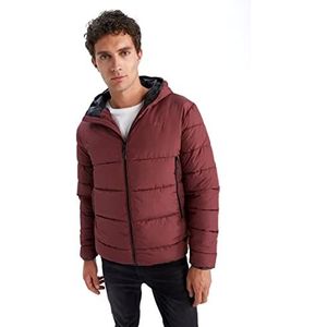 de facto Herenjas, bordeaux, XS