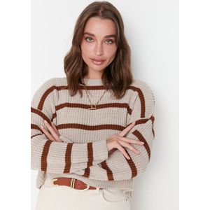 Trendyol Vrouwen Standaard mouw Basis Stone Crop Basic gestreepte gebreide trui TWOAW23KZ00390