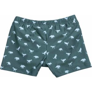 Slipstop wasbare zwemluier jongen - Dino groen