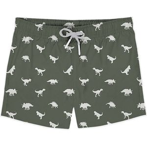 Slipstop Zwembroekje Dino Green