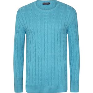 Felix Hardy Gebreide Trui - Sweater Heren Babyblue