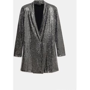 Zilveren Glans Jurk Jas