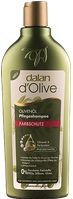 Dalan d'Olive Shampoo - Color Protection 400 ml