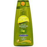 Dalan d'Olive - Shampoo - Anti Roos - 400 ml.