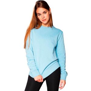 Snap Climbing Classic Sweatshirt Blauw Man