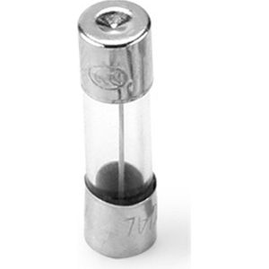 Dimmerzekering Glaszekering 1A 250V Dimzekering voor dimmerschakelaar