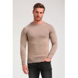 LolaLiza Trui N Fourstri 04007091 2572 Light Taupe/lilac Dames Maat - L