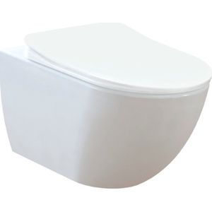 Hangende Wandtoiletpot - RVS Sproeier - Hygiëne