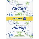 Always Cotton Protection Ultra Night (maat 3) - Maandverband Met Vleugels - Voordeelbox 48 Stuks