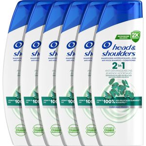 6x Head & Shoulders 2in1 Jeukende Hoofdhuid 300 ml