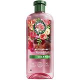 Herbal Essences Blütensanft Shampoo mit Rosenduft 350ml. Von stumpfem Haar zu seidig glänzendem Haare, Mit Rosenessenz, Inhaltsstoffe natürlichen Ursprungs, Vegan, ohne Silikone