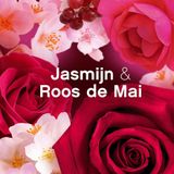 2+2 gratis: Lenor Wasverzachter Jasmijn & Rose de Mai 56 Wasbeurten 1176 ml