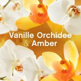 8x Lenor Wasverzachter Amber & Orchidee 56 Wasbeurten 1176 ml