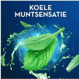 Oral-B Pro-Expert Advanced Flosdraad - Grondige Reiniging - Verwijdert Tandplak - 50m – 12 stuks