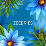 Lenor - Zeebries - Wasverzachter - 1,5 L - Dermatologisch Getest