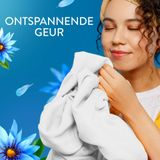 Lenor - Wasverzachter - Zeebries - 8 x 55 Wasbeurten