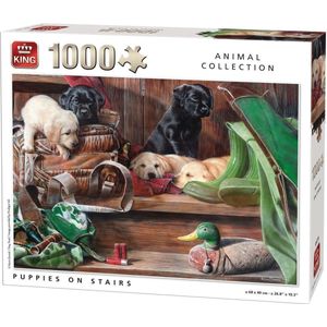 King Puzzel 1000 Stukjes (68 x 49 cm) - Puppies On Stairs - Legpuzzel - Dieren - Volwassenen