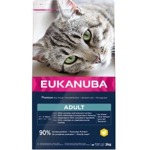 Eukanuba Cat Adult - Top Condition 1+ - Kip - Kattenvoer - 10 kg