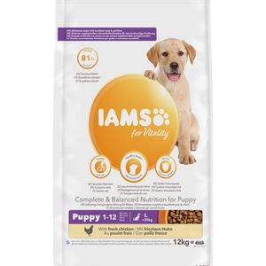 IAMS - Advanced Nutrition - Droogvoer - Voor Puppy’s - Met Kip