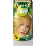 Hennaplus Long Lasting Colour 8.3 Light Golden Blond