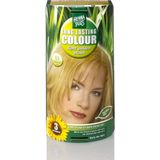 Hennaplus Long Lasting Colours 8.3 Light Golden Blond - Haarverf