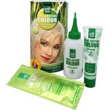 Hennaplus - Long Lasting Colour - Haarkleuring - Glanzend - 100% Grijsdekking
