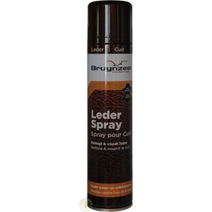 Bruynzeel Lederspray 300 ml