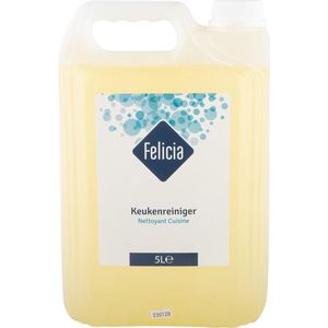 Keukenreiniger XL Jerrycan 5 Liter Felicia Professioneel Schoonmaakmiddel