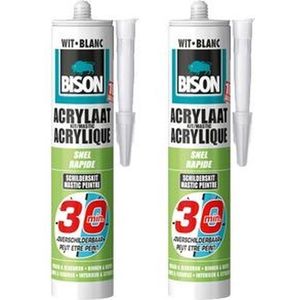Bison Acrylaatkit - Overschilderbaar - 30 Minuten - 2  x 310  ml