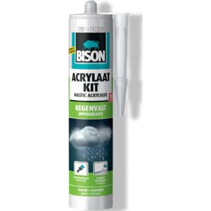 Bison Acrylaatkit Regenvast - Wit - 310 ml
