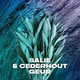 Axe Apollo Showergel - 250 ml�