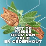 AXE 3-in-1 Douchegel - Apollo - met de uitdagende geur van salie en cederhout - 6 x 250 ml