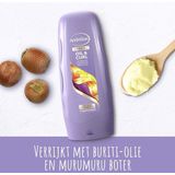 Andrélon - Oil & Curl Conditioner - Voor Krullend Haar - Buriti-Olie - Muru Muru-Boter