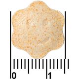 Davitamon Junior 3+ Kauwvitamines - Multifruit - 120 tabletten