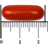 Bional Prostavit Forte - Supplement - Behoud normale prostaat en testosterongehalte – 30 capsules