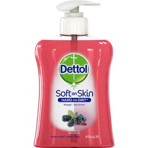 Dettol Wasgel - Winterbessen - Handzeep - 250 ml
