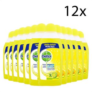 Dettol Allesreiniger Power & Fresh - Citrus - 500ml x12