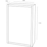 Differnz Look Spiegelkast - 51 X 38 X 18 cm - RVS